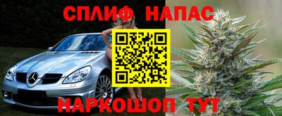 крисы Бузулук